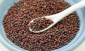 Organic Brown Mustard Seeds